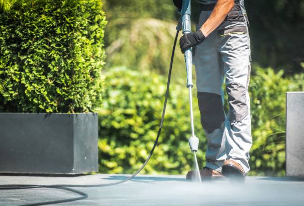 Trusted Pine Canyon, CA Pressure Washing Services Experts